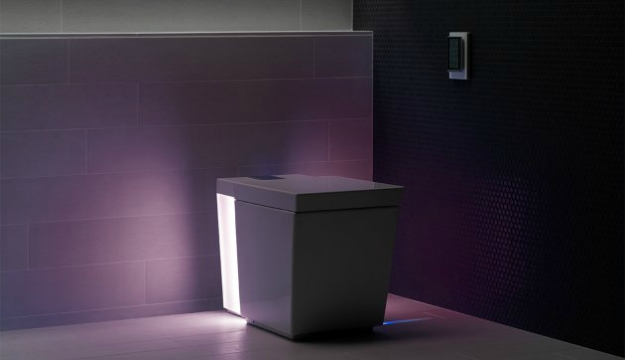 An Automatic Toilet That Listens to Voice Commands | Did We Really Need These Products?
